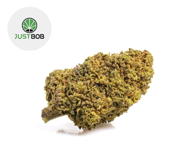 Mango CBD Boost 42% - JustBob