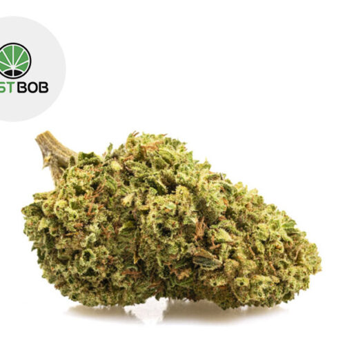 Bubble Gum CBD 22% - JustBob