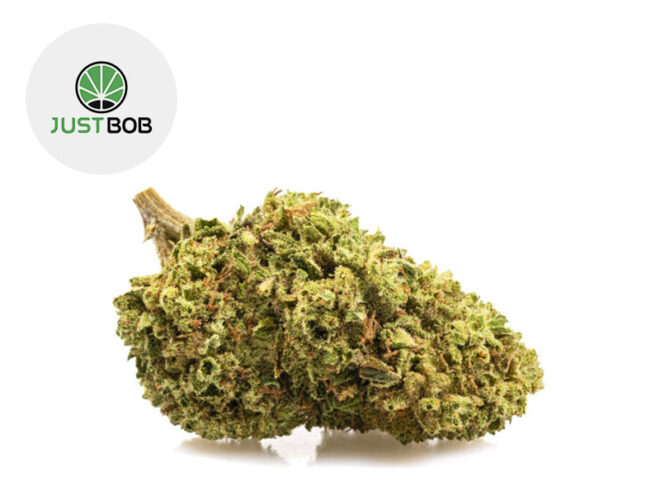 Bubble Gum CBD 22% - JustBob