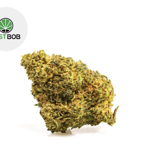 Master Kush CBD 17