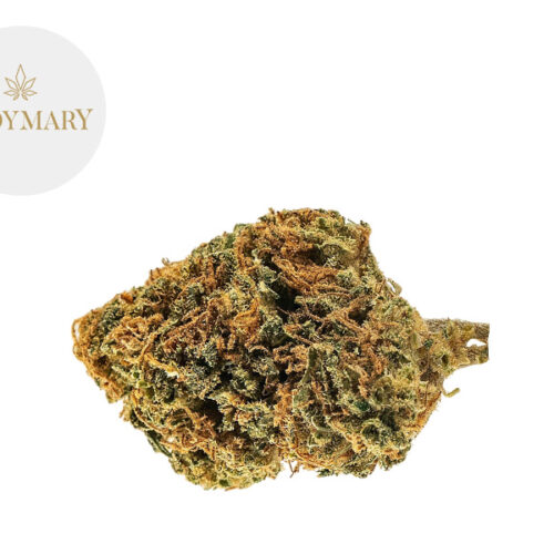 Flower Power CBD 26% - LadyMary