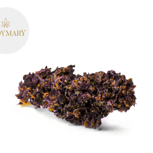 Purple Maze CBD 20% - LadyMary