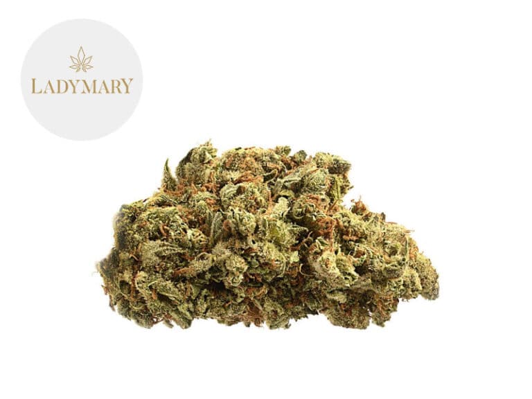 First Lady CBD 14% - LadyMary