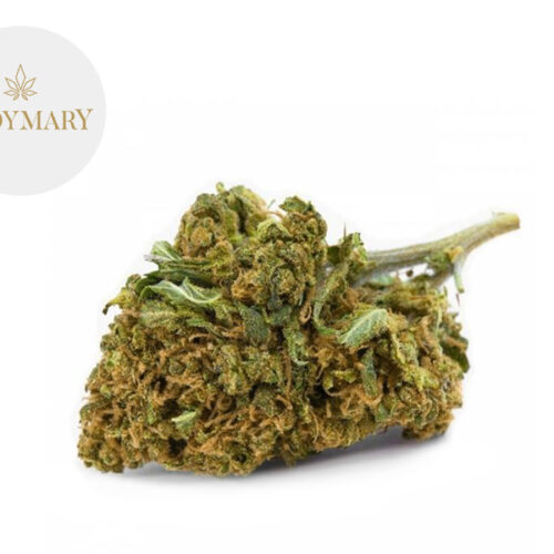Strawberry Fields CBD 16% - LadyMary