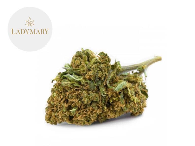 Strawberry Fields CBD 16% - LadyMary