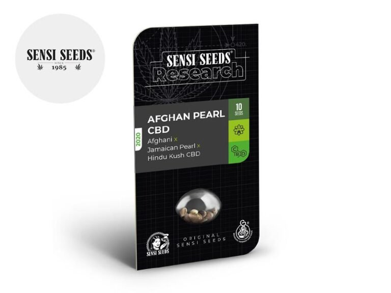 Semi Afgano Pearl CBD auto - Sensi Seeds