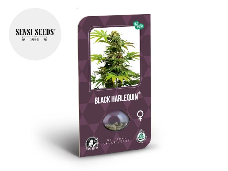 Semi Black Harlequin CBD femminizzati - Sensi Seeds