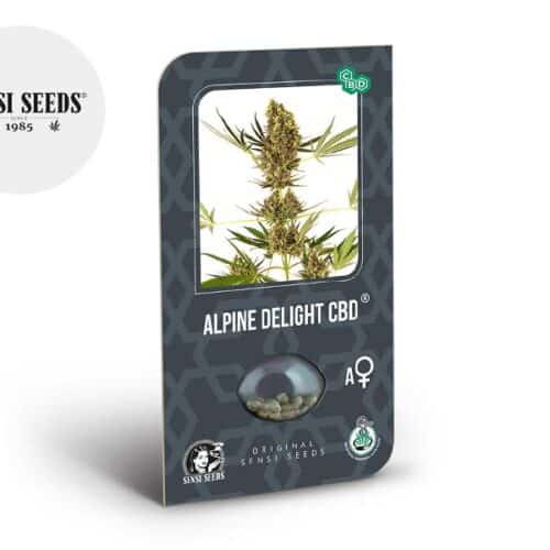 Semi Alpine Delight CBD auto - Sensi Seeds