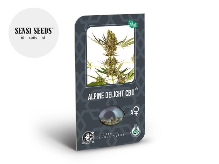 Semi Alpine Delight CBD auto - Sensi Seeds