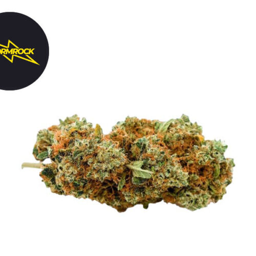 Gelato CBD 13