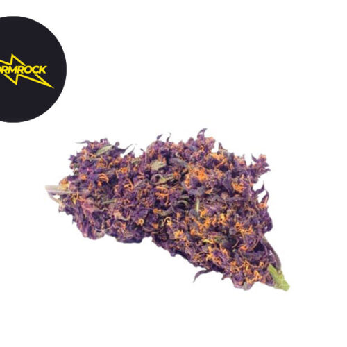 Purple Haze CBD 9