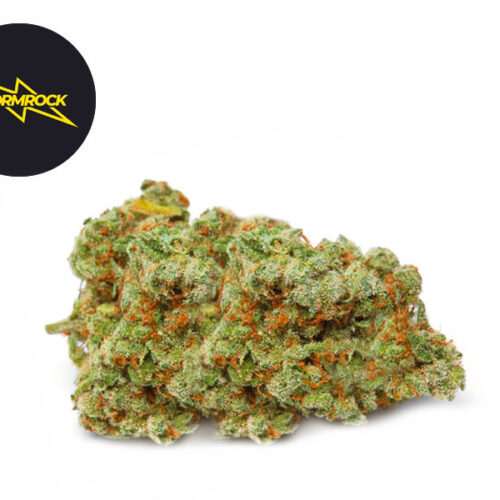 Girl Scout Cookies CBD 21% - Stormrock