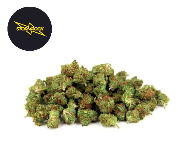 Mini-Bud Premium CBD 15% - Stormrock