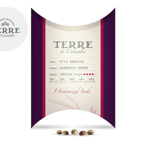 Semi Mix CBD femminizzati - Terre di Cannabis