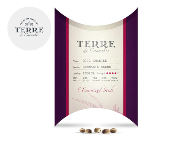 Semi Mix CBD femminizzati - Terre di Cannabis