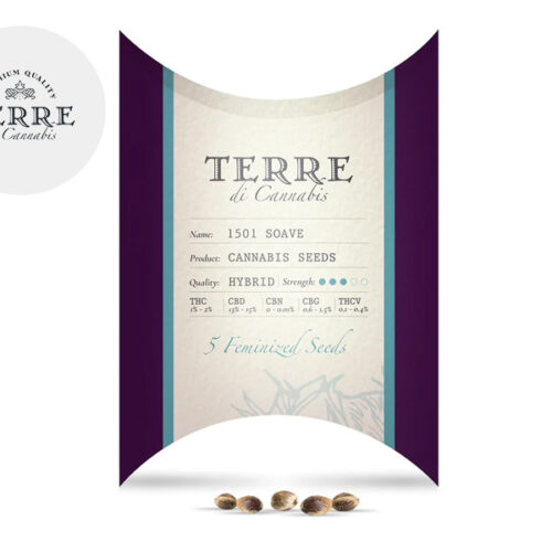 Semi Mix CBD femminizzati - Terre di Cannabis