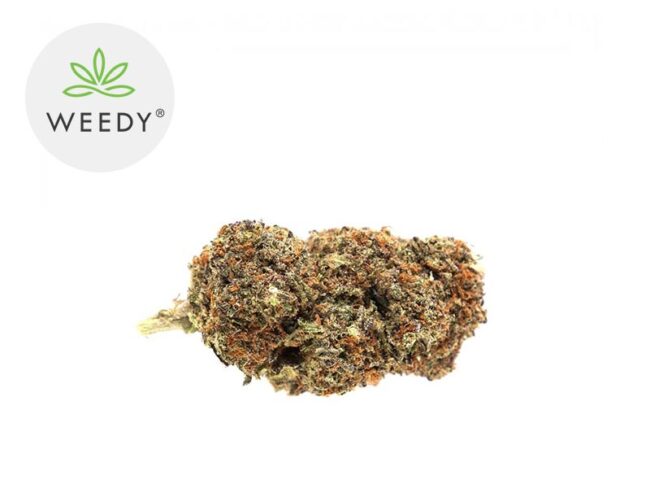 Strawberry Haze CBD 13% - Weedy