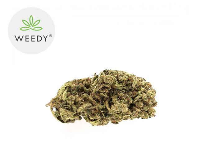 NYC Diesel CBD 13% - Weedy