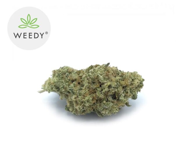 Skywalker CBD 7% - Weedy