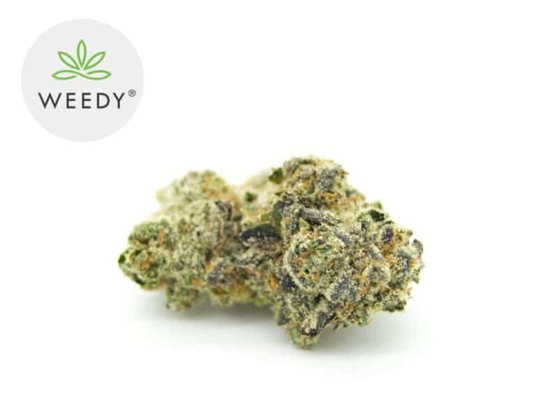Green Gelato CBD 7% - Weedy