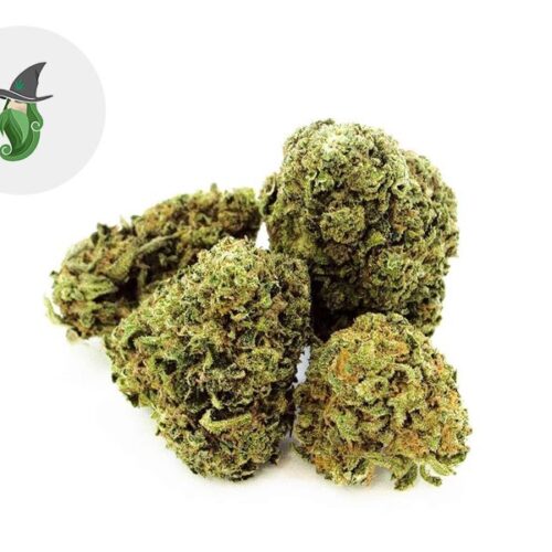 Purple Haze CBD 20% - Weedzard