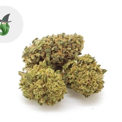 Amnesia Haze CBD 24% - Weedzard