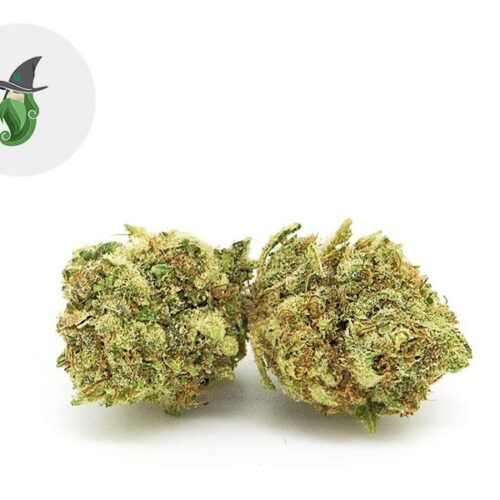 Gelato CBD 20% - Weedzard