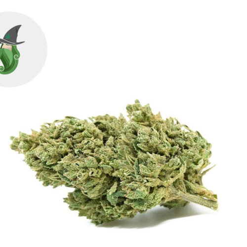 Skywalker Premium CBD 25% - Weedzard