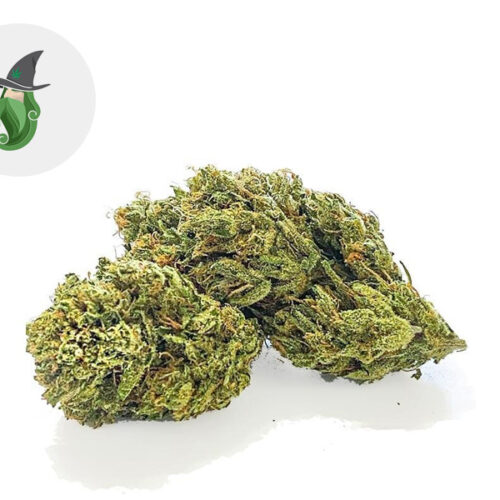 Shark Premium CBD 24% - Weedzard