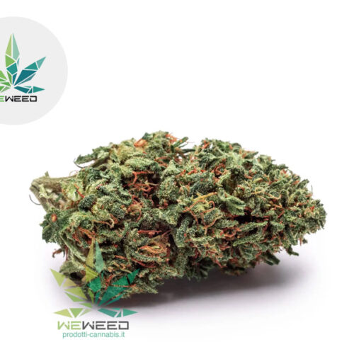 Critical Lime CBD 27% - Weweed