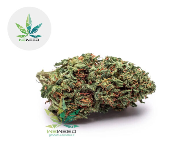 Critical Lime CBD 27% - Weweed