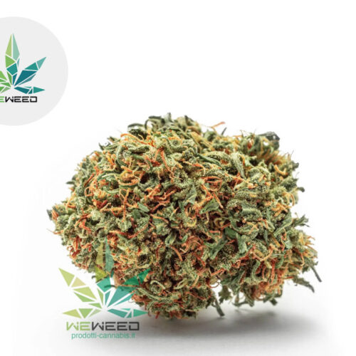 Bubba Kush CBD 37% - Weweed