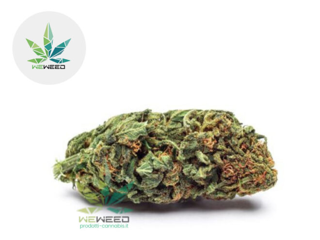Silver Haze CBD 30% - Weweed