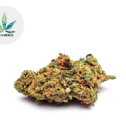 Purple Haze CBD 29% - Weweed
