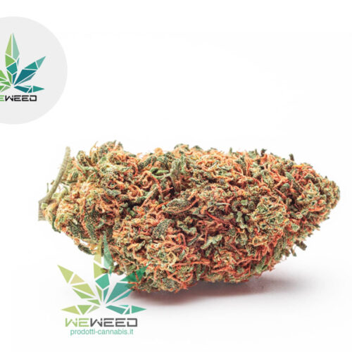 Cookies CBD 31% - Weweed