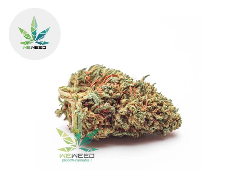 Orange Bud CBD 24% - Weweed