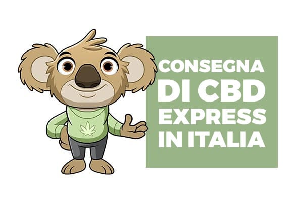 consegna di cbd express italia