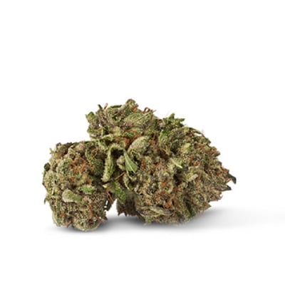 gelato cbd