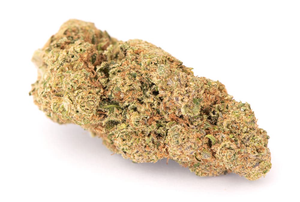 test fiore cbd cbdabassocosto