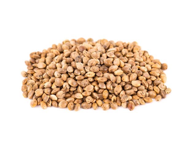 semi autofiorenti cbd