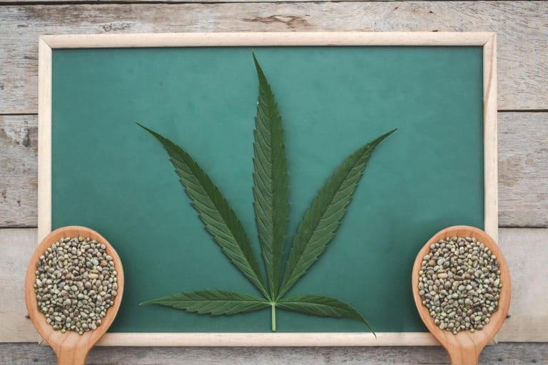 semi cbd