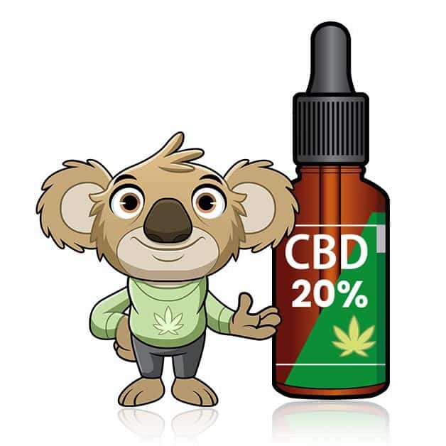 olio CBD 20