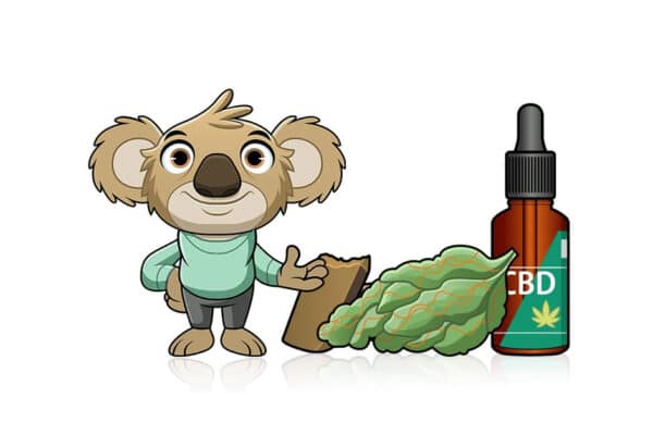 prodotti cbd