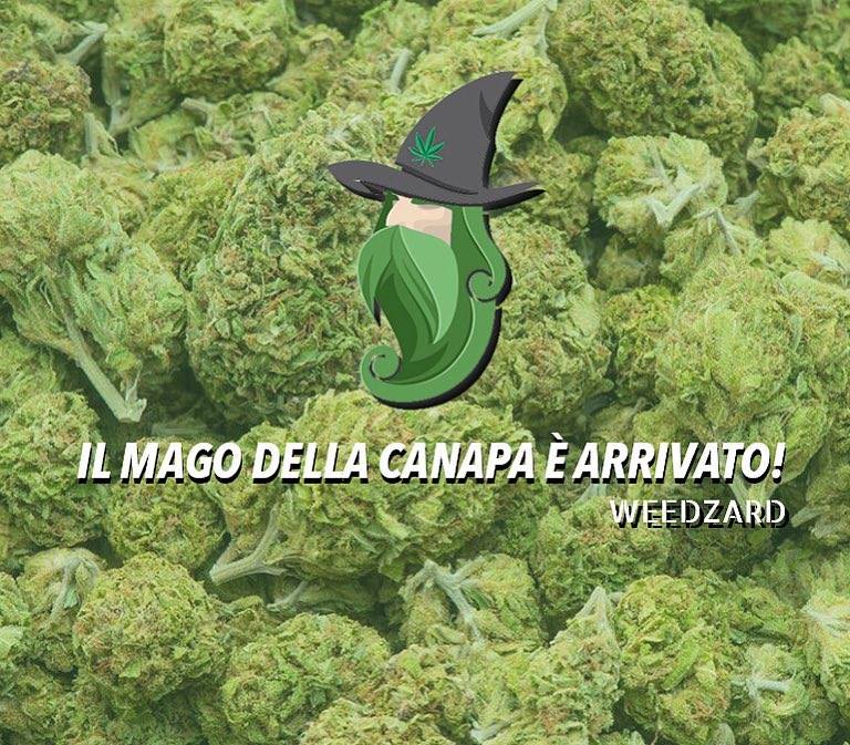 weedzard mago